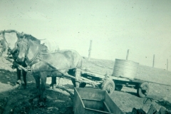 1803-t6p34